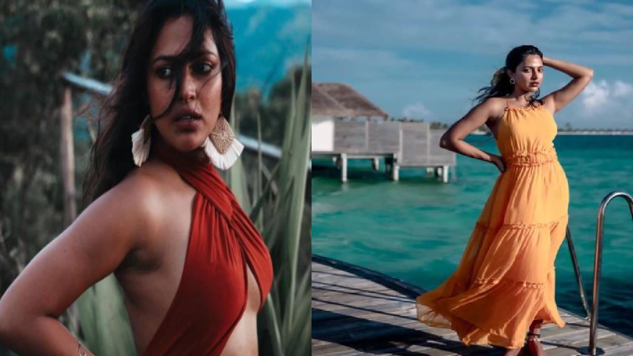 अमाला पॉलने डायरेक्टर केएल विजय सोबत लग्न केलं. 3 वर्षातच त्यांचं नात संपलं. अमालाने त्यानंतर दुसर लग्न केलं. 