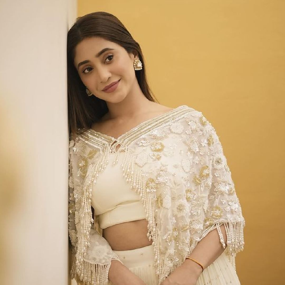 बिग बॉस ओटीटीचे पहिले दोन सिझनसुद्धा चांगलेच चर्चेत होते. पहिल्या सिझनमध्ये शमिता शेट्टी आणि राकेश बापट यांच्यातील लव्हस्टोरीने प्रेक्षकांचं लक्ष वेधलं होतं. तर दिव्या अग्रवाल या सिझनची विजेती ठरली होती. दुसऱ्या सिझनमध्ये फलक नाज आणि अविनाश सचदेव यांच्यात रोमान्स पहायला मिळाला. युट्यूबर एल्विश यादव या सिझनचा विजेता ठरला होता.  