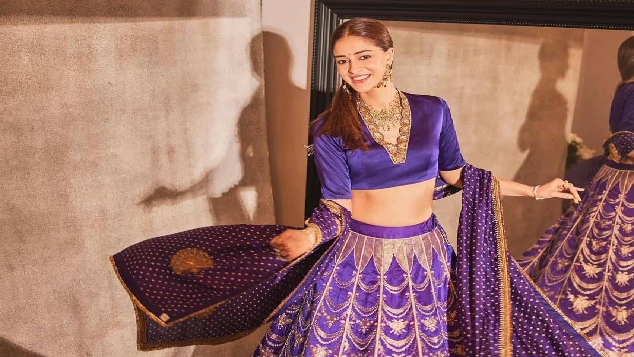 अनन्याला आपली सगळी एनर्जी करियरवर फोकस करण्यात लावायची आहे. म्हणून अनन्या आणि हार्दिकला कपल बनवणाऱ्या सगळ्या स्टोरीज तथ्यहीन आहेत, त्याला अर्थ नाही असं या सूत्राने सांगितलं.