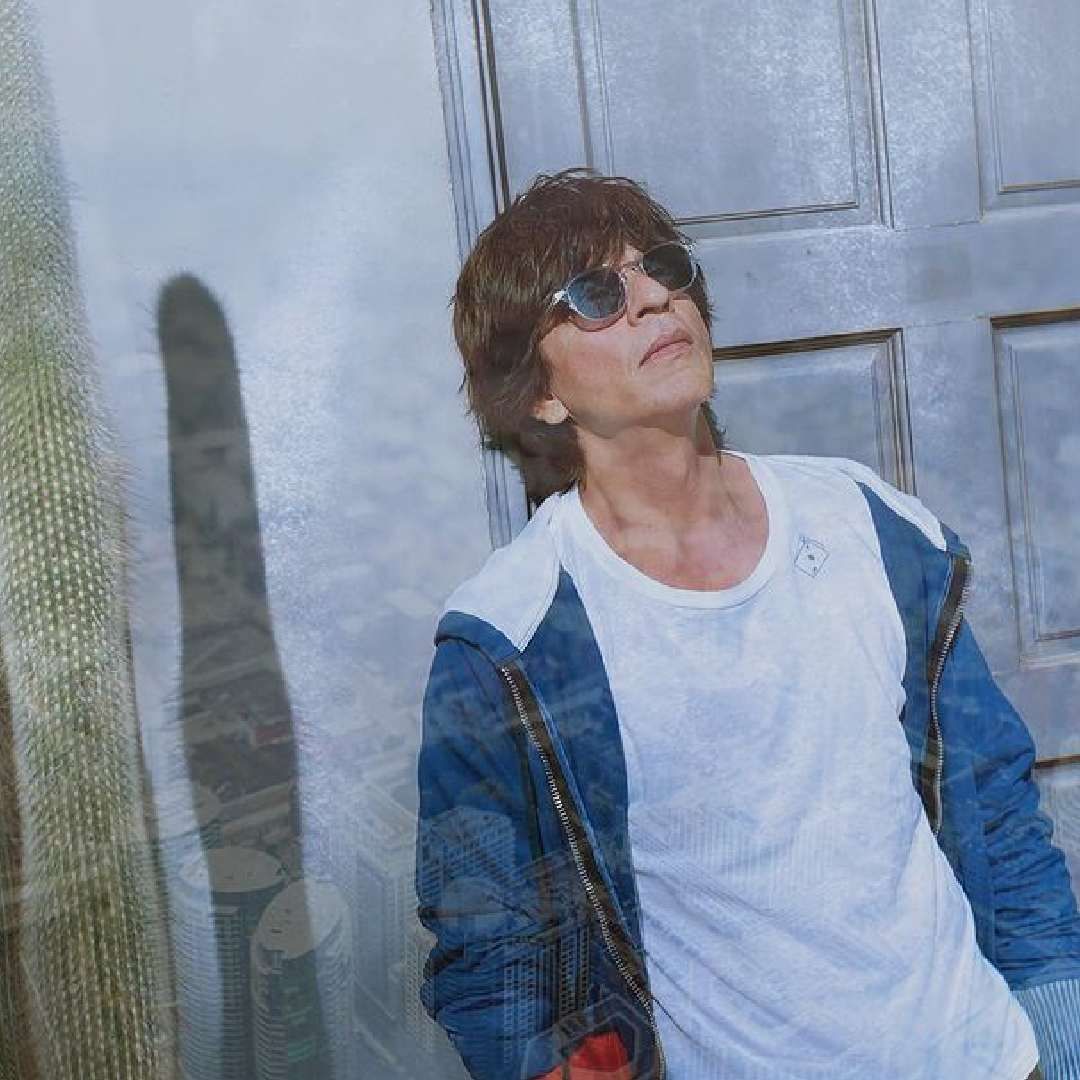 शाहरुखने गेल्या वर्षी 'पठाण', 'जवान' आणि 'डंकी' असे तीन सुपरहिट चित्रपट दिले. या चित्रपटांची जगभरातील एकूण कमाई तब्बल दोन हजार कोटींच्या घरात होती. याशिवाय बिझनेस वेंचर आणि जाहिराती यातून किंग खानची तगडी कमाई होते.