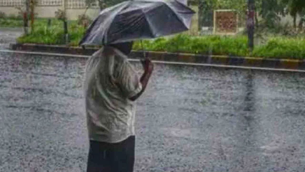 दरम्यान हवामान विभागानं दिलेल्या इशाऱ्यानुसार जर राज्यात पाऊस झाला तर याचा मोठा फटका हा रब्बी पिकांना विषेत: गहू ज्वारी या सारख्या पिकांना बसू शकतो.