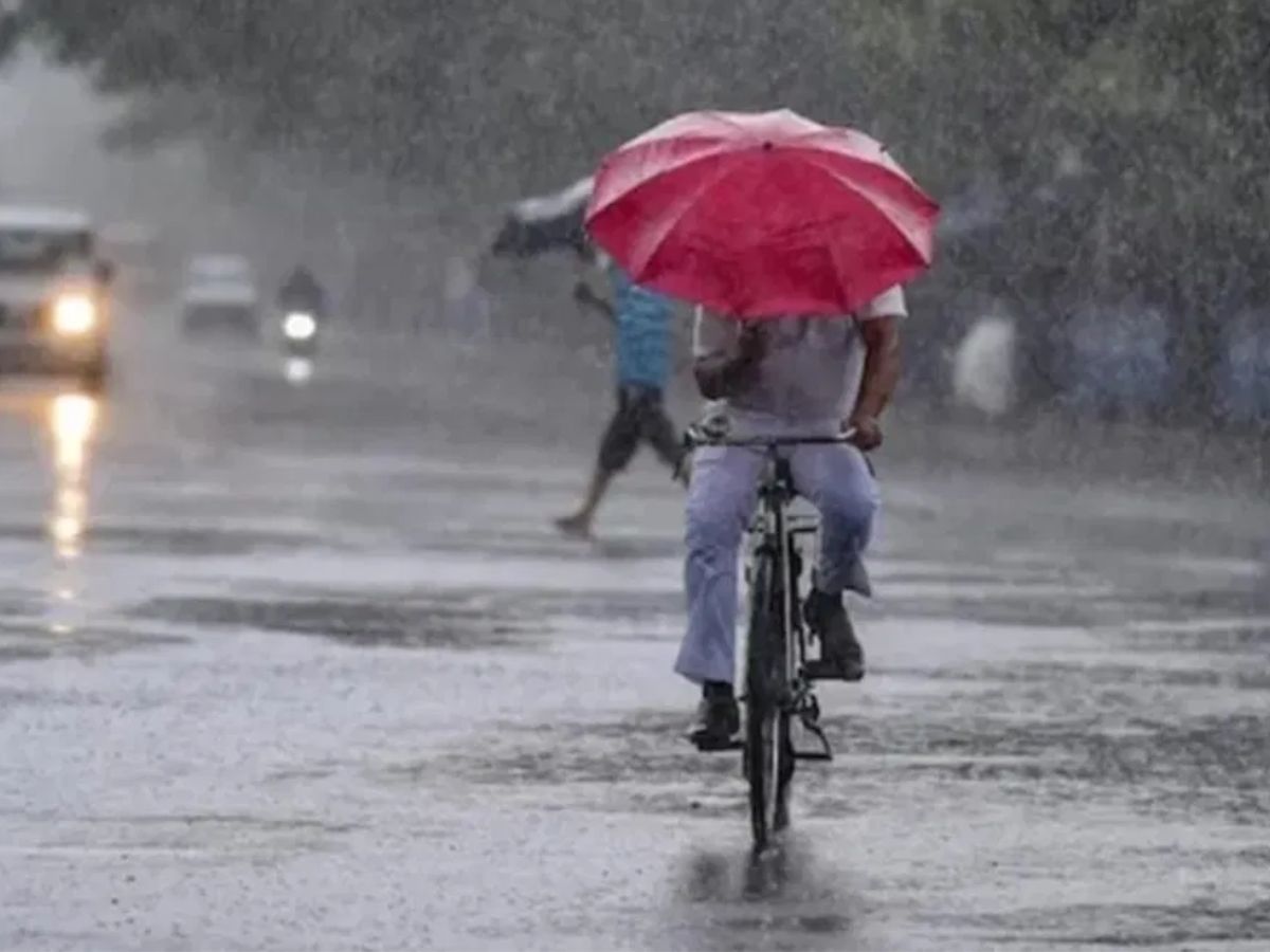 नव्या वर्षात एक खूषखबर आहे, ती म्हणजे या वर्षी देशभरात पावसाचं प्रमाण चांगलं राहण्याची शक्यता आहे, असा अंदाज जागतिक हवामान विभागाकडून वर्तवण्यात आला आहे.  