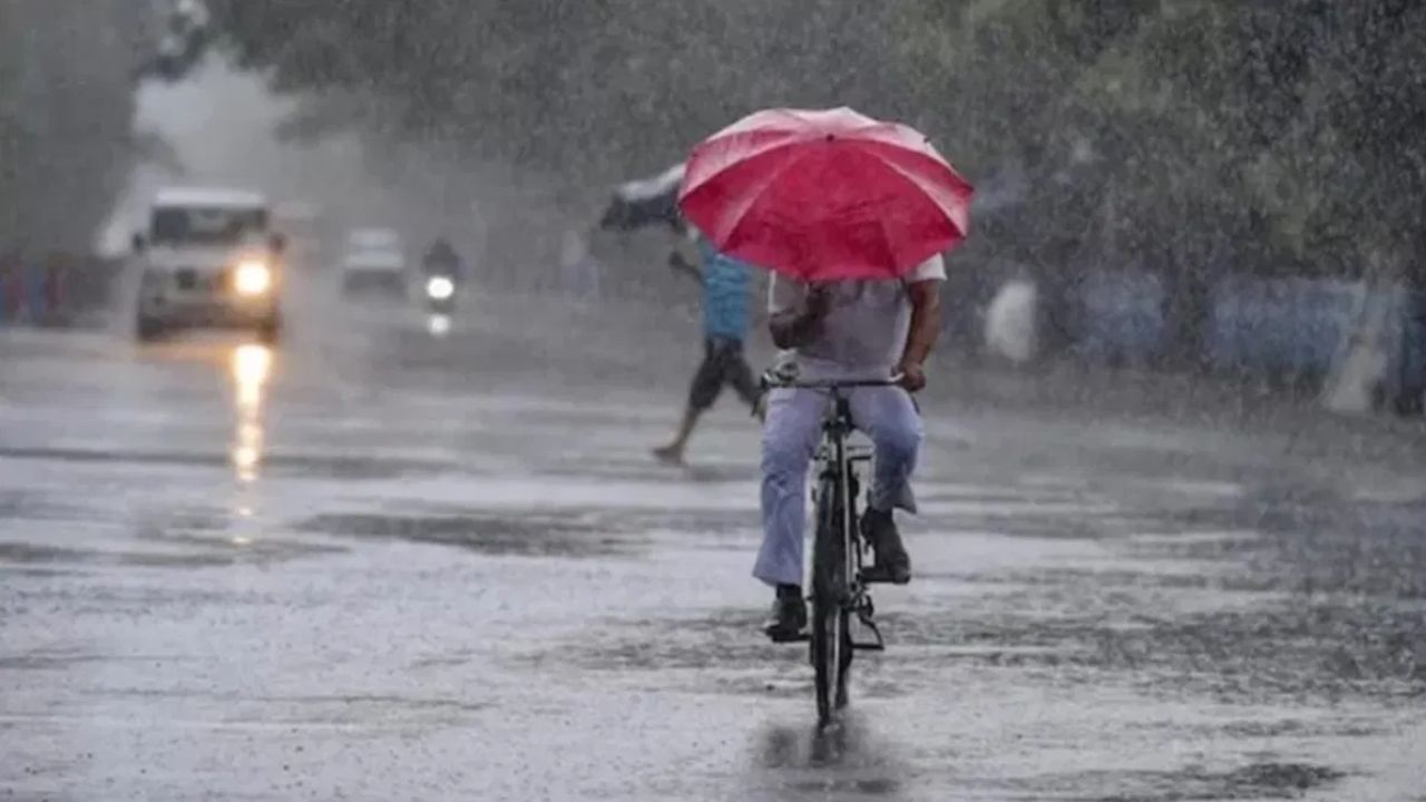 ला निनाचा परिणाम हा जगाच्या दक्षिण भागात आणि उत्तर भागात वेगवेगळा दिसून येतो. ला नीना सक्रिय झाल्यास दक्षिण गोलार्धात उष्णता प्रचंड प्रमाणात वाढते, त्याचा परिणाम वणव्या सारख्या घटना घडतात. तर या उलट उत्तर गोलार्धात कडाक्याची थंडी पडते.