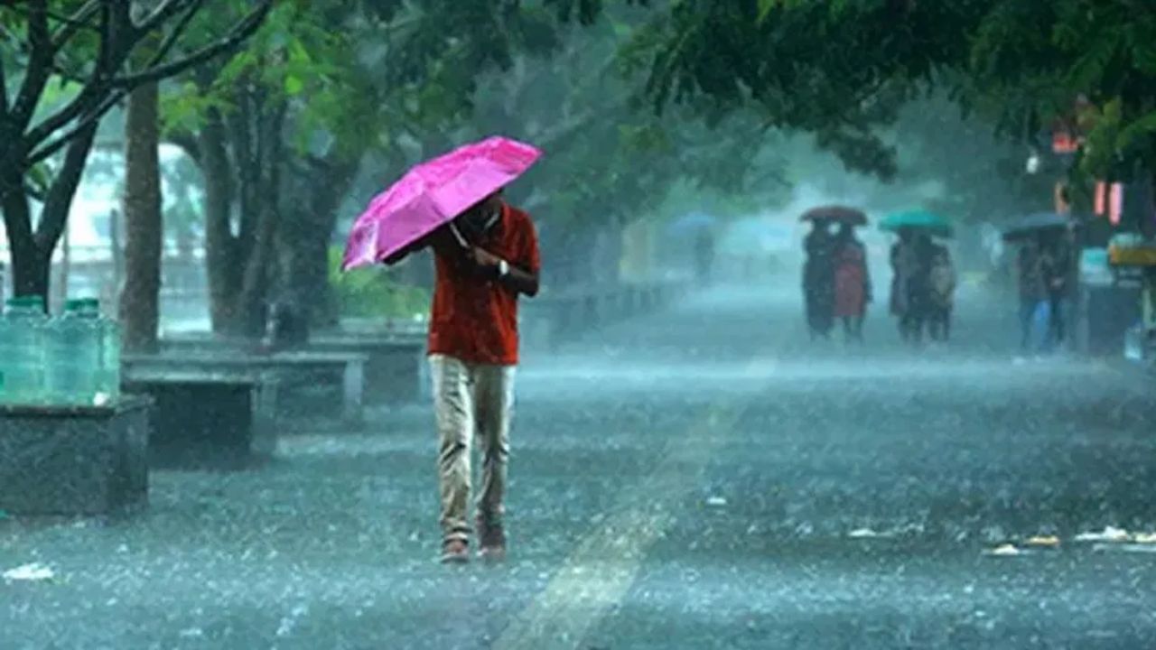 पुढील 24 तासांमध्ये महाराष्ट्रातील काही जिल्ह्यांमध्ये वादळी वाऱ्यासह जोरदार पाऊस होऊ शकतो असं हवामान विभागानं म्हटलं आहे. एकीकडे उष्णतेची लाट तर दुसरीकडे पावसाचा इशारा असं दुहेरी संकट सध्या राज्यावर आहे.