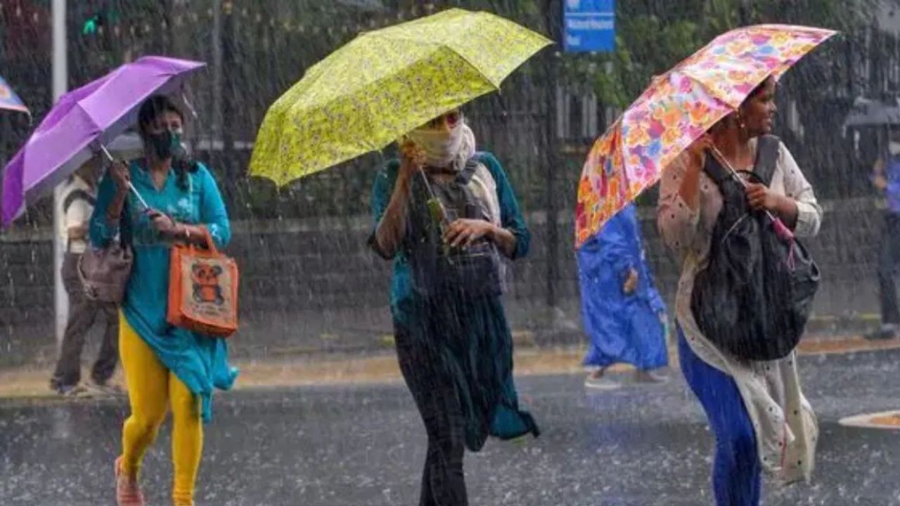 आयएमडीनं दिलेल्या माहितीनुसार पुढील 24 तासांमध्ये सिंधुदुर्ग जिल्ह्याला वादळासह पावसाचा इशारा देण्यात आला आहे. तर सातारा, धाराशिव, लातूर, मुंबई आणि ठाणे या जिल्ह्यांमध्ये देखील पावसाची शक्यता वर्तवण्यात आली आहे.