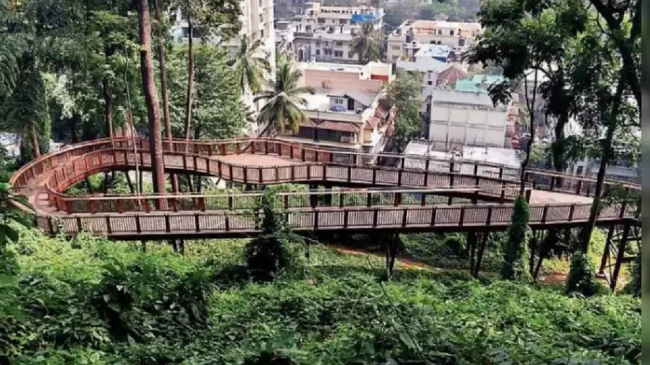 या एलिव्हेटेड नेचर ट्रेलची लांबी एकूण 485 मीटर आणि रुंदी 2.4 मीटर इतकी आहे. या मार्गावर एका ठिकाणी समुद्राचं विहंगम दृश्य पाहण्यासाठी 'सी व्ह्युईंग डेक' देखील बांधण्यात आला आहे.