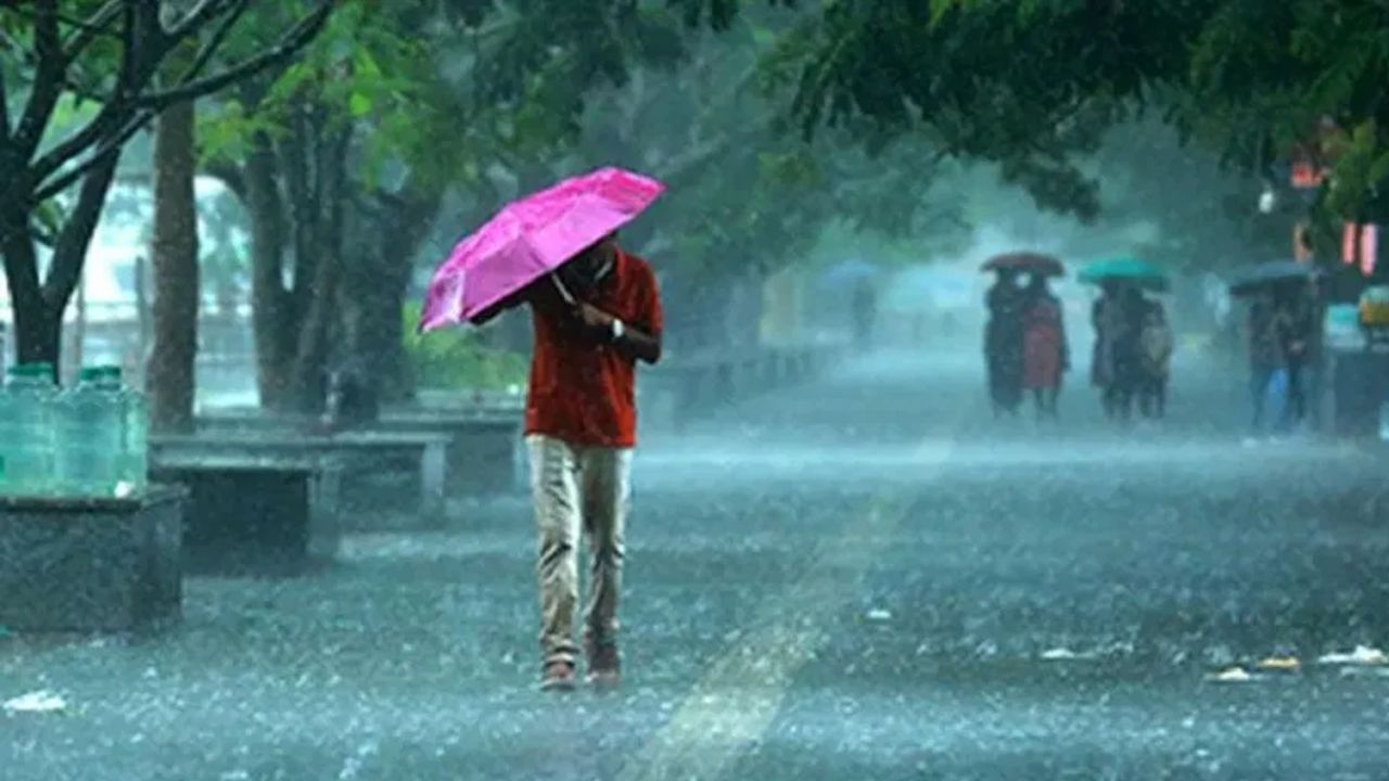 हवामान विभागाकडून कोकणामध्ये उद्या रेड अलर्ट जारी करण्यात आला आहे, मुसळधार पावसाची शक्यता वर्तवण्यात आली आहे, तर दुसरीकडे विदर्भ, मराठवाडा आणि उत्तर महाराष्ट्रात पुढील दोन दिवस ऑरेंज अलर्ट असणार आहे.