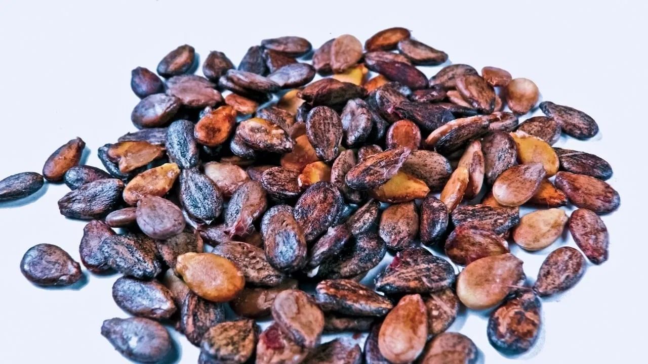 कलिंगडच्या बिया त्वचेसाठी देखील खूप फायदेशीर असतात. या बियांमध्ये प्रथिने देखील असतात ज्यामुळे कोलेजन वाढवण्यास मदत करतात. याशिवाय, त्वचा तेजस्वी आणि निरोगी ठवण्यात मदत होते. 