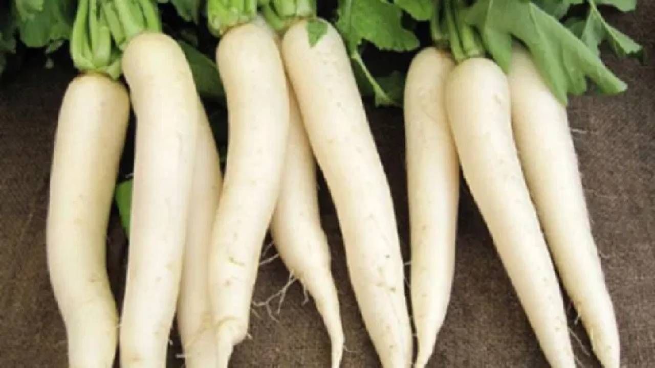 मुळ्याच्या सेवनामुळे बद्धकोष्ठता दूर होते अनेक अँटीऑक्सिडंट्स त्यामध्ये असतात. नाश्त्यामध्ये तुम्ही मुळ्याच्या पराठ्यांचा समावेश करू शकता.