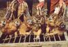 बिहार निवडणुकीत अंधश्रद्धेचा काळाबाजार, तांत्रिक विधींसाठी खरेदी केले जात आहेत घुबड-मुंगूस