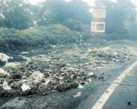 सडलेल्या भाज्यांचा खच, आंबेनळी घाट बनला ‘डम्पिंग ग्राऊंड’