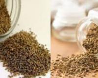 जिरे आणि ओवा यांना स्वयंपाकघरातील डाॅक्टर का म्हणतात, वाचा