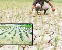 लेख – पिचलेला अन्नदाता!