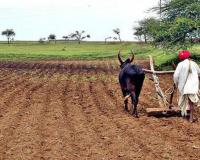 कर्जाच्या वसुलीसाठी शेतकऱ्याला जमीन, घर विकायला लावले