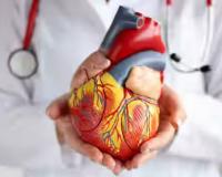 हृद्याचे आरोग्य उत्तम राखण्यासाठी ही फळे आहेत सर्वात बेस्ट, वाचा