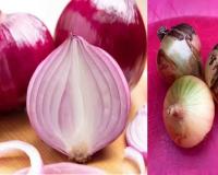 जर कांद्यावर असे डाग दिसत असतील तर कधीही खाऊ नका; निर्माण होऊ शकते गंभीर समस्या