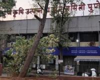 पुणे बाजार समिती सभापती जगताप यांची जहागिरी नाही, संचालक प्रशांत काळभोर यांचा मनमानी कारभारावरून सभापतींना टोला