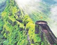 राजगड किल्ल्यावर फिरायला गेलेल्या पर्यटकांवर मधमाशांचा हल्ला, बचावासाठी तरुणीची दरीत उडी
