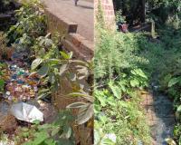 मच्छीमार्केट परिसरात घाणीचे साम्राज्य, मनुष्यबळ कमी असल्याचे नगरपरिषदेकडून कारण