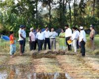 Ratnagiri News – परतीच्या पावसाने शेतीचे नुकसान, बांधावर पोहचत जिल्हाधिकाऱ्यांनी साधला नुकसानग्रस्त शेतकऱ्यांशी संवाद