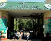 संजय गांधी नॅशनल पार्कात हिट अँड रन, दीड वर्षाच्या चिमुकलीचा दुर्दैवी अंत