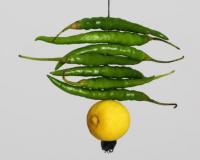 लिंबू फिरवल्याच्या संशयातून अलिबागमध्ये कुटुंब वाळीत; रेवदंडा पोलिसांचे ३३ जणांवर गुन्हे