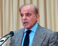 शाहबाज शरीफ तोंडावर आपटले; कश्मीरबाबतच्या दिशाभूल करणाऱ्या वक्तव्याची पोलखोल होताच झाली बोलती बंद