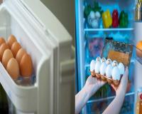 अंडी रेफ्रिजरेटरमध्ये ठेवावीत की नाही? 90 टक्के लोकांना कदाचित योग्य उत्तर माहित नसेल