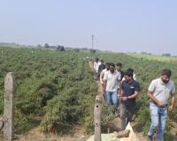 उद्याची शेती – वैचारिक अधिष्ठानाची कृषीमूल्य साखळी