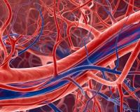 मृतदेहामध्ये रक्ताभिसरण सुरू करण्यात डॉक्टरांना यश, अवयवदानासाठी मोठे संशोधन