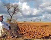 रायगडातील 1 लाख 83 हजार शेतकऱ्यांकडे फार्मर आयडीच नाहीत, सरकारी योजनांचा लाभ मिळण्यास येणार अडचणी