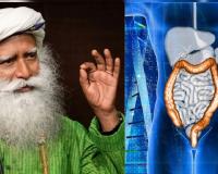 आतड्यांमधील घाण कशी काढायची? सद्गुरूंनी सांगितले 3 सर्वात प्रभावी मार्ग