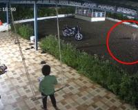 Pune news – पडवीत चिमुरडा झोका घेत असताना अंगणात बिबट्या आला अन्… थरकाप उडवणारा व्हिडीओ