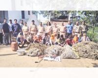 रानडुकराची अवैध शिकार; नऊ आरोपींना वनकोठडी