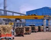 ऊस गाळपासाठी परवाना, मुख्यमंत्री सहायता निधीत पैसे जमा करण्याची सक्ती; हायकोर्टाची राज्य शासनाला नोटीस