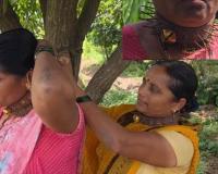 Pune News – बिबट्यापासून संरक्षण मिळवण्यासाठी महिलांची अनोखी शक्कल, टोकदार खिळे असलेला पट्टा गळ्यात घातला