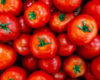 दररोज एक टोमॅटो खाण्याचे आरोग्यवर्धक फायदे