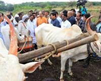 Photo – मराठवाड्यात उद्धव ठाकरेंचा शेतकऱ्यांशी संवाद, बळीराजाने मांडल्या व्यथा