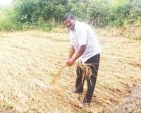 देवा रे देवा… अजब सरकार गजब न्याय! वाड्यातील पूरग्रस्त शेतकऱ्याला पीक विम्याचे 2 रुपये 30 पैसे!!