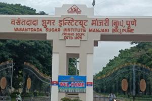वसंतदादा पाटील शुगर इन्स्टिटय़ूटच्या चौकशीचे आदेश