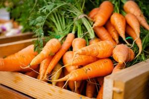 हिवाळ्यात महिनाभर दररोज गाजर आणि बीटचा रस प्यायल्यास शरीराला मिळतील ‘हे’ खास फायदे