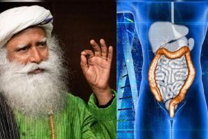 आतड्यांमधील घाण कशी काढायची? सद्गुरूंनी सांगितले 3 सर्वात प्रभावी मार्ग