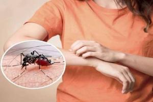 ‘या’ सोप्या उपायांचा अवलंब केल्यास मुलांच्या जवळही फिरकणार नाही डास