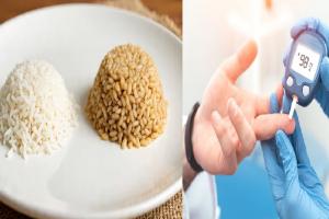 पांढरा राइस की ब्राऊन राइस… डायबिटीजचे रुग्ण कोणता भात खाऊ शकतात? अन् कोणत्या भातामुळे शुगर वाढू शकते?